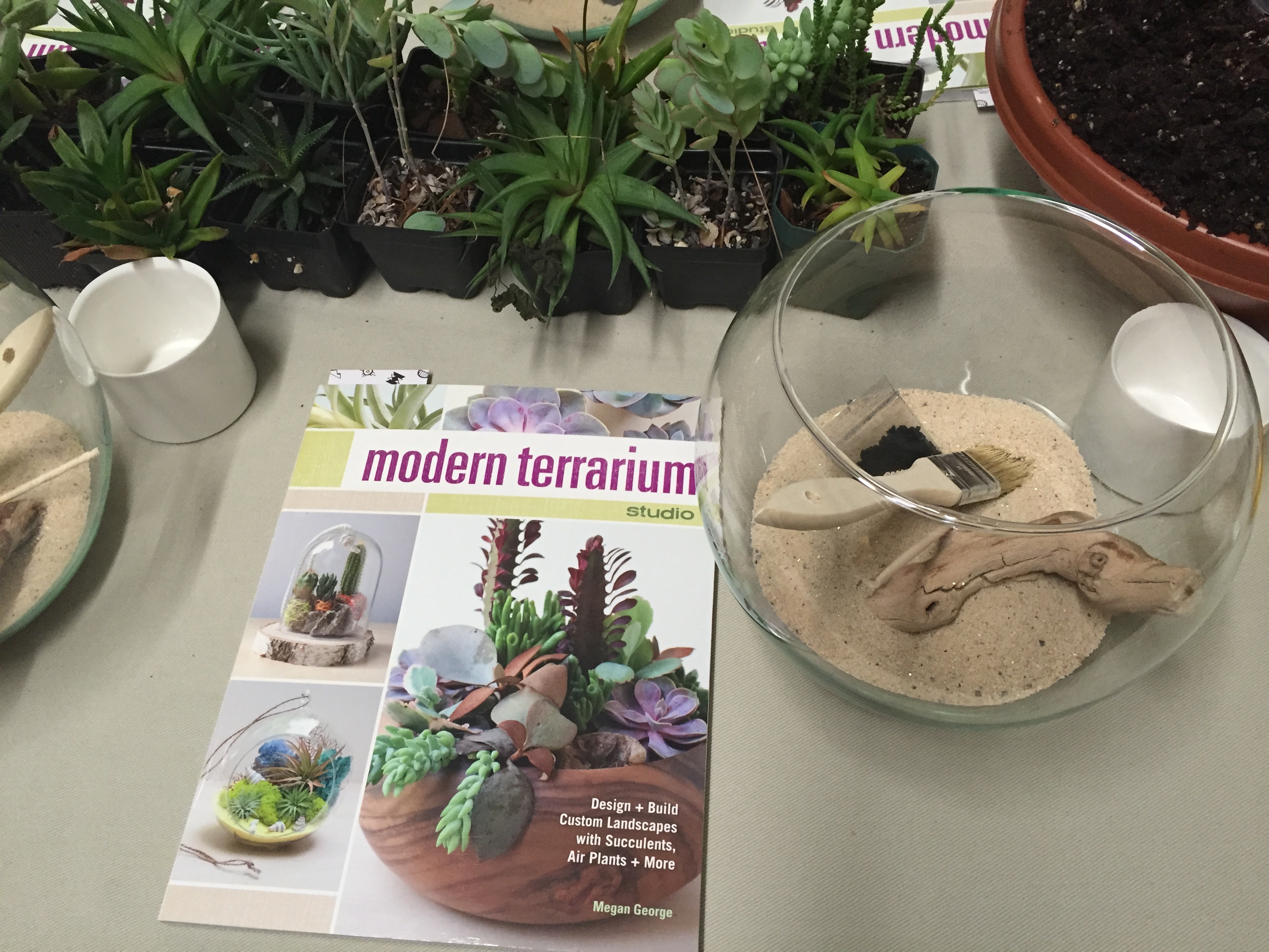 A copy of Megan George's book and terrarium supplies before starting the project